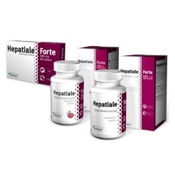 VETEXPERT Hepatiale Forte 40kaps. (small breed & cats)