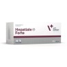VETEXPERT Hepatiale Forte 40kaps. (small breed & cats)