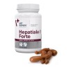 VETEXPERT Hepatiale Forte 40kaps. (small breed & cats)
