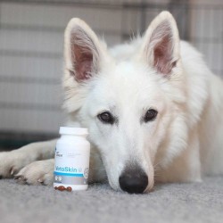 VETEXPERT VetoSkin 60kaps.