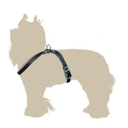 DINGO Szelki skórzane ósemki nitowane 10mm / 56-64 cm Brązowy