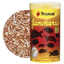 TROPICAL Gammarus - pokarm dla żółwi wodnych, lądowych i dużych gatunków ryb 500ml / 60g (puszka)