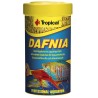 TROPICAL Dafnia Naturalna - pokarm dla ryb 100ml / 18g