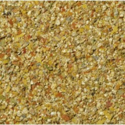 TROPICAL Dafnia Witaminizowana - pokarm dla ryb - torebka 12g