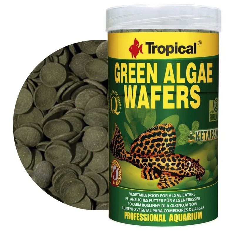 TROPICAL Green Algae Wafers - roślinne wafelki dla glonojadów 100ml / 45g