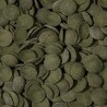 TROPICAL Green Algae Wafers - roślinne wafelki dla glonojadów 1000ml / 450g