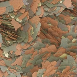 TROPICAL Hobby mix - pokarm dla wszystkich ryb akwariowych 12g