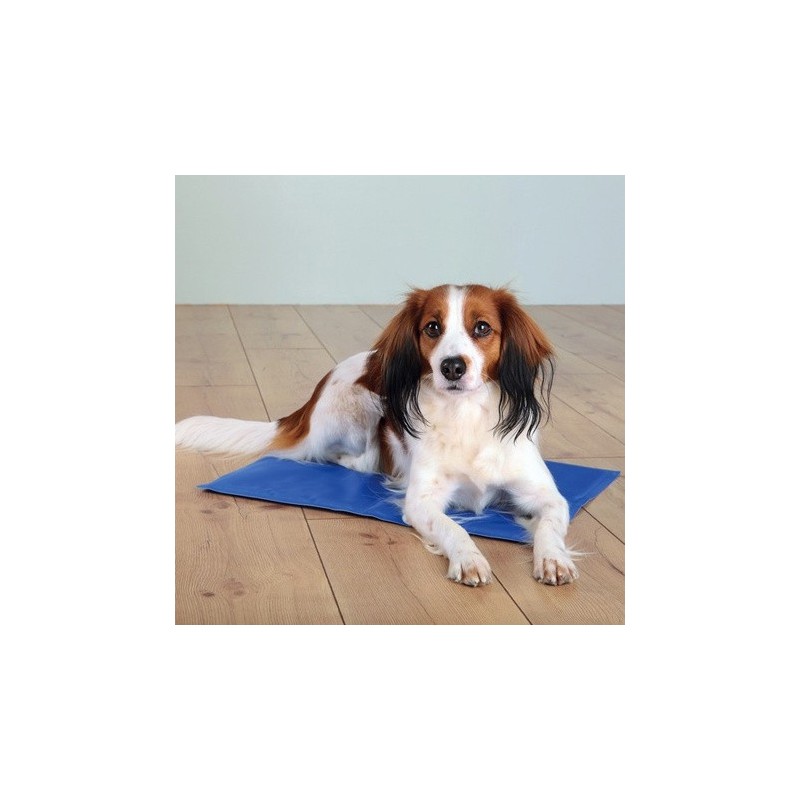 TRIXIE Mata chłodząca - niebieska 40cm x 30cm