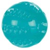 TRIXIE Piłka Denta Fun TPR zabawka dla psa 6cm