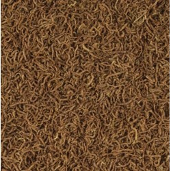 TROPICAL Red Mico - liofilizowane larwy ochotkowatych 100ml / 8g