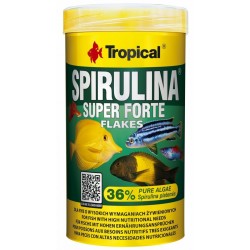 TROPICAL Super Spirulina Forte 36% - pokarm roślinny dla ryb 250ml / 50g