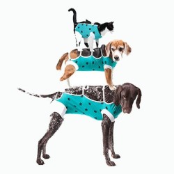 KUNA Opatrunek / ubranko pooperacyjne L (44cm)