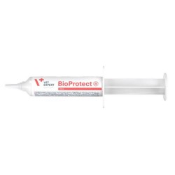 VETEXPERT BioProtect Pasta - Zaburzenia przewodu pokarmowego 15ml
