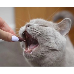 VETEXPERT UrinoVet Cat Twist Off - 45 kaps.