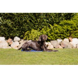 TRIXIE Mata chłodząca - niebieska 90cm x 50cm