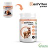 VETOQUINOL Caniviton Protect 90tabl.