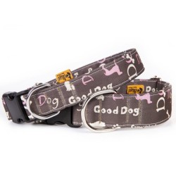 DINGO Obroża America - Nevada 2cm x 45cm (23-40cm)