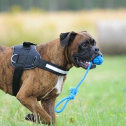 DINGO Piłka pleciona z uchwytem "Energy" 40cm