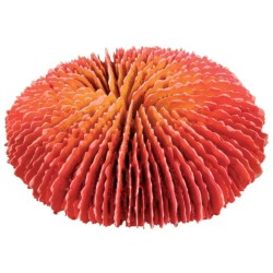 TRIXIE Dekoracja akwarium - Zestaw koralowców 4 szt.