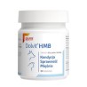 DOLFOS Dolvit HMB 30 tabl.