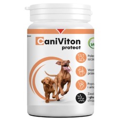 VETOQUINOL Caniviton Protect 90tabl.