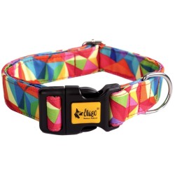 DINGO Obroża America - Kolorado 2cm x 45cm (23-40cm)