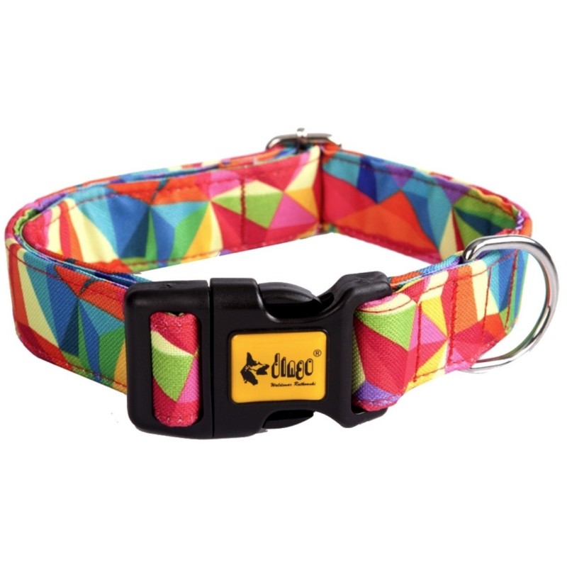 DINGO Obroża America - Kolorado 2cm x 45cm (23-40cm)