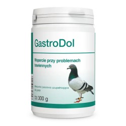 DOLFOS Gastrodol 300g PROMO Krótki termin
