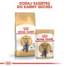 ROYAL CANIN British Shorthair karma mokra w sosie dla kotów dorosłych rasy brytyjski krótkowłosy 85g