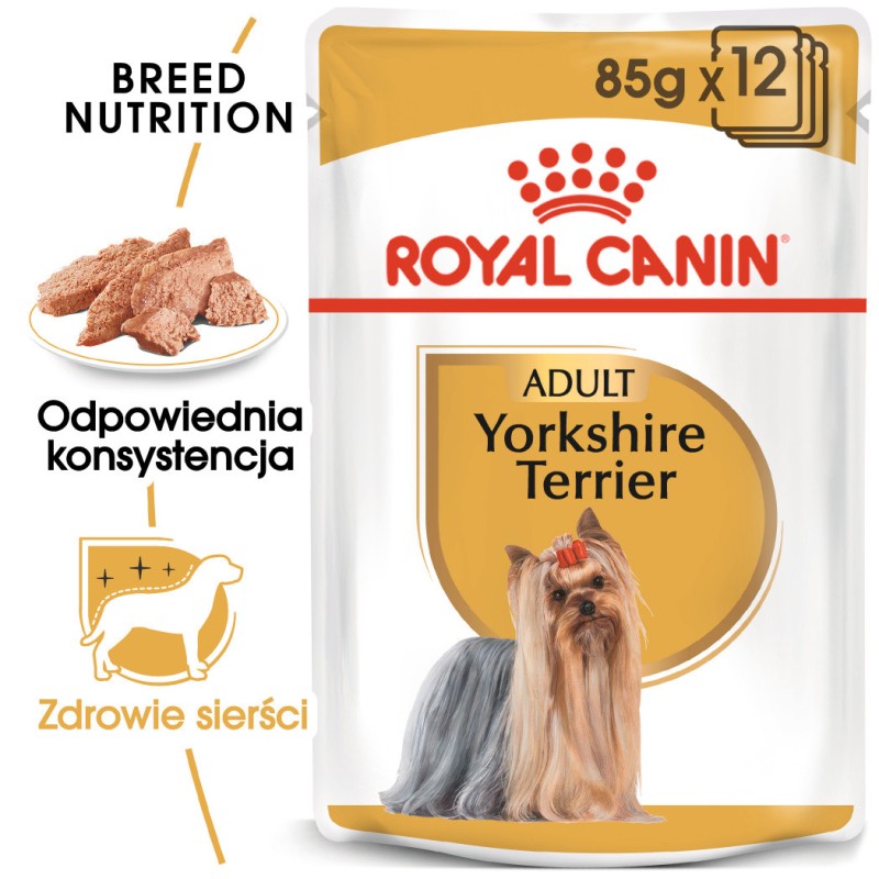 ROYAL CANIN Yorkshire Terrier Adult karma mokra - pasztet dla psów dorosłych rasy yorkshire terrier 24x 85g