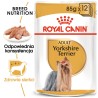 ROYAL CANIN Yorkshire Terrier Adult karma mokra - pasztet dla psów dorosłych rasy yorkshire terrier 24x 85g