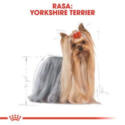 ROYAL CANIN Yorkshire Terrier Adult karma mokra - pasztet dla psów dorosłych rasy yorkshire terrier 12x 85g