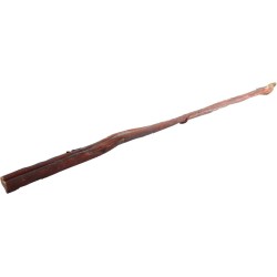 ABAKUS Penis wołowy 1 szt.