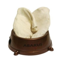 ABAKUS Ucho wieprzowe białe 1 szt.