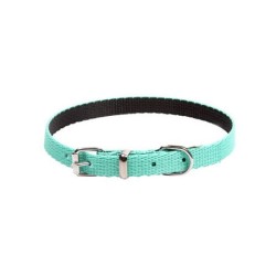 DINGO Obroża Energy - miętowa 1,2cm x 30cm (18-25cm)