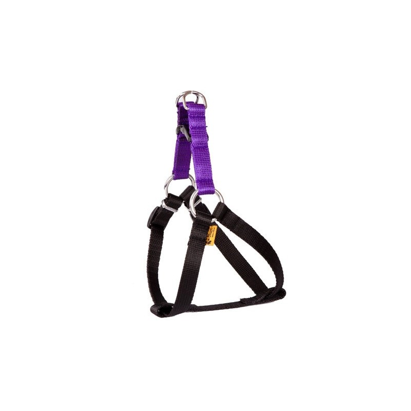 DINGO Szelki Fred Energy - fioletowe Rozm. 85