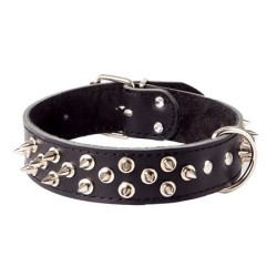 DINGO Obroża skórzana z kolcami - czarna 4cm x 60cm (41-51cm)