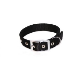 DINGO Obroża Extra z taśmy - czarna 2,5cm x 55cm (32-44cm)