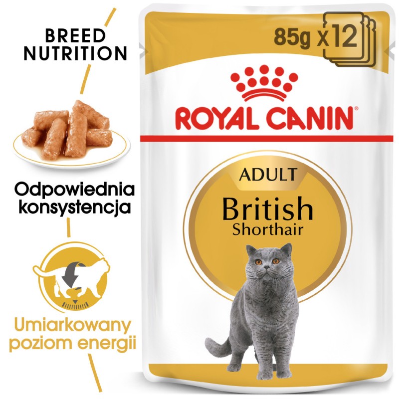 ROYAL CANIN British Shorthair karma mokra w sosie dla kotów dorosłych rasy brytyjski krótkowłosy 85g