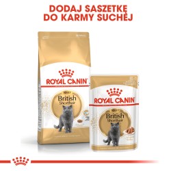 ROYAL CANIN British Shorthair karma mokra w sosie dla kotów dorosłych rasy brytyjski krótkowłosy 85g