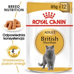 ROYAL CANIN British Shorthair karma mokra w sosie dla kotów dorosłych rasy brytyjski krótkowłosy 24x 85g