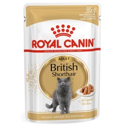 ROYAL CANIN British Shorthair karma mokra w sosie dla kotów dorosłych rasy brytyjski krótkowłosy 48x 85g