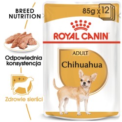 ROYAL CANIN Chihuahua Adult karma mokra - pasztet dla psów dorosłych rasy chihuahua 12x 85g