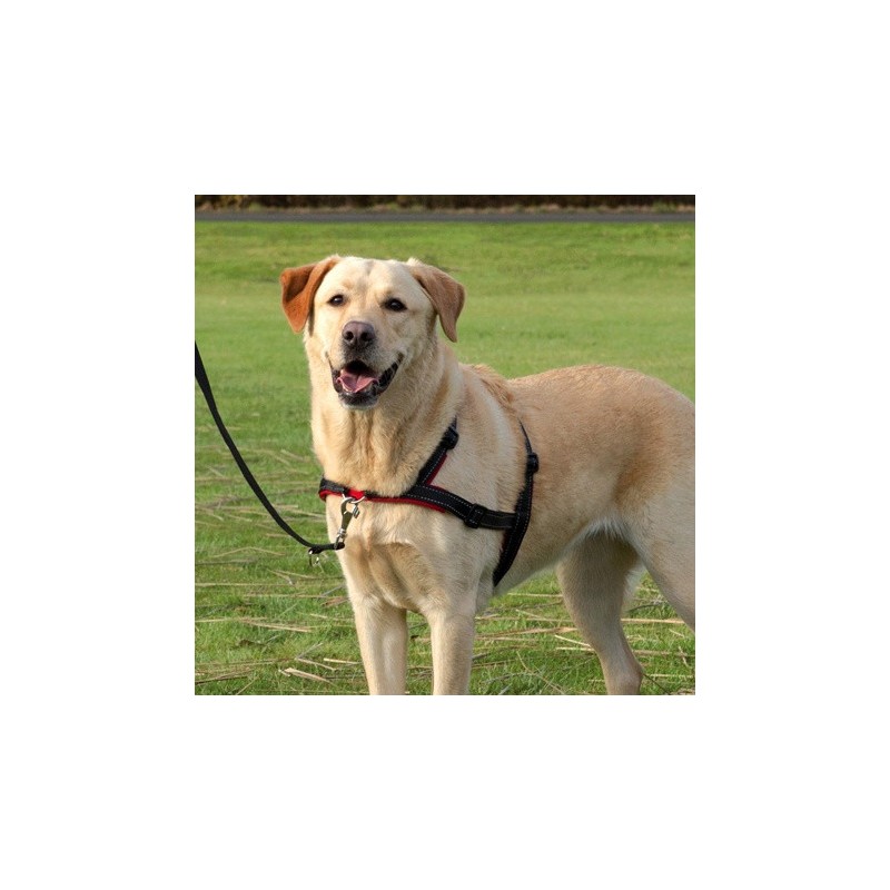 TRIXIE Szelki Lead'n'Walk Soft - Czarne 55cm-90cm / 25mm