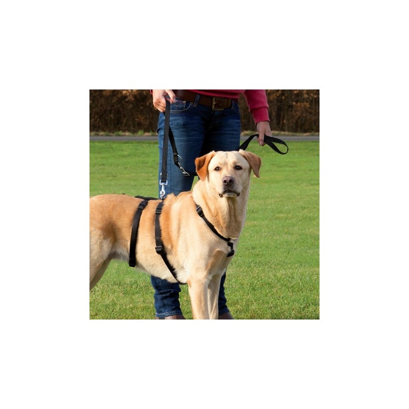 TRIXIE Szelki Stay - Czarne M-L