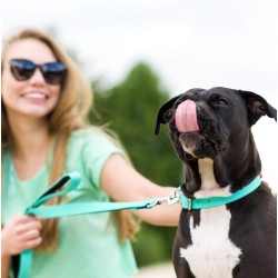 DINGO Obroża Energy - zielona 1,2cm x 30cm (18-25cm)