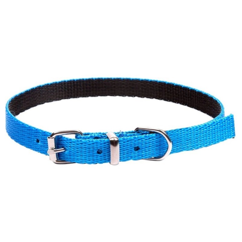 DINGO Obroża Energy - niebieska 1,2cm x 30cm (18-25cm)