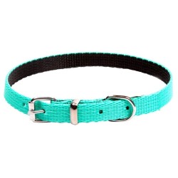 DINGO Obroża Energy - miętowa 1,2cm x 45 cm (33-40cm)