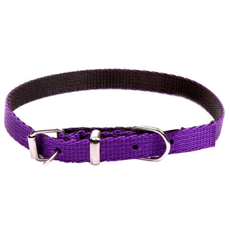 DINGO Obroża Energy - fioletowa 1,2cm x 45cm (33-40 cm)