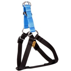 DINGO Szelki Fred Energy - niebieskie Rozm. 50